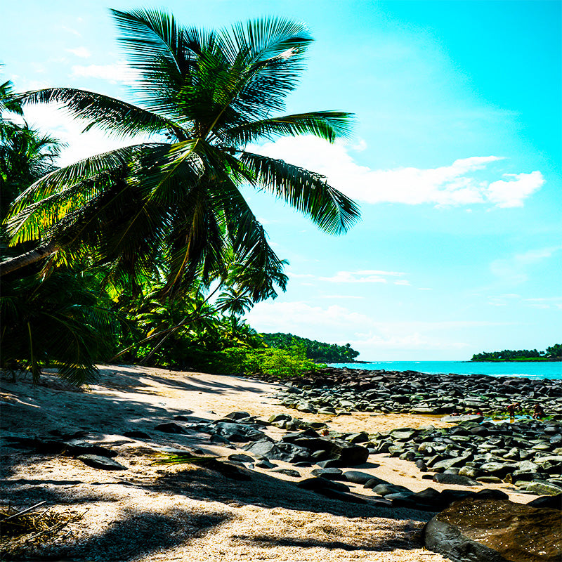 Guyana