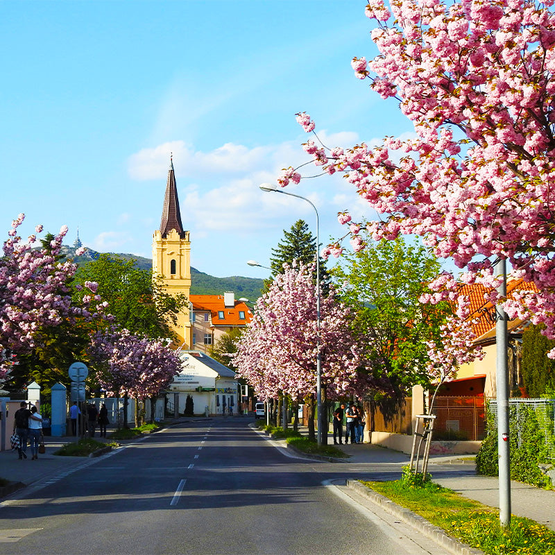 Slovakia